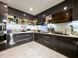 Daisy Park (D13), Terrace #512150841